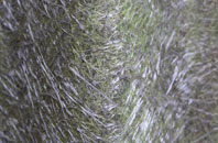 Cilwendeg fibreglass roof work